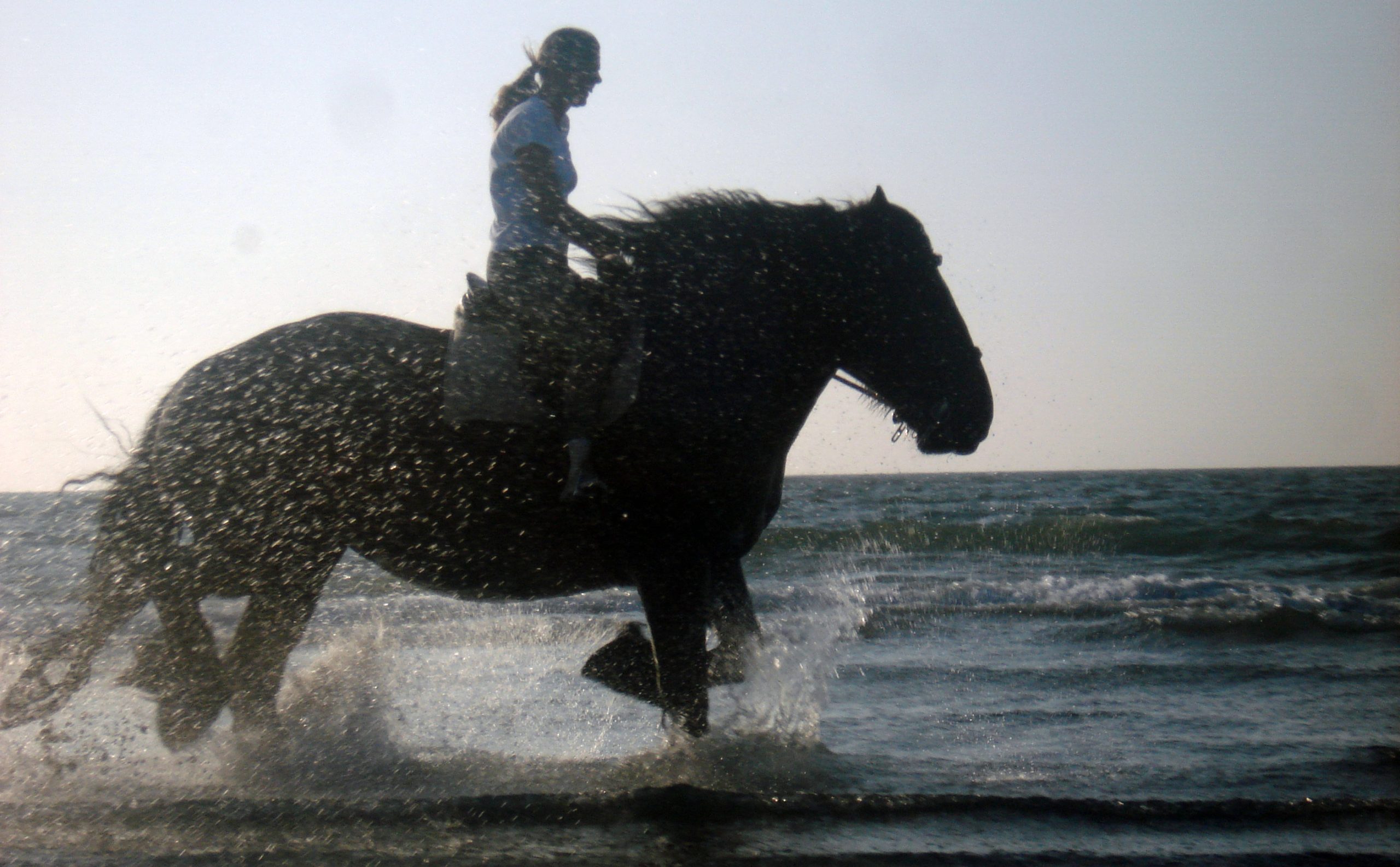 Unieke Beleving